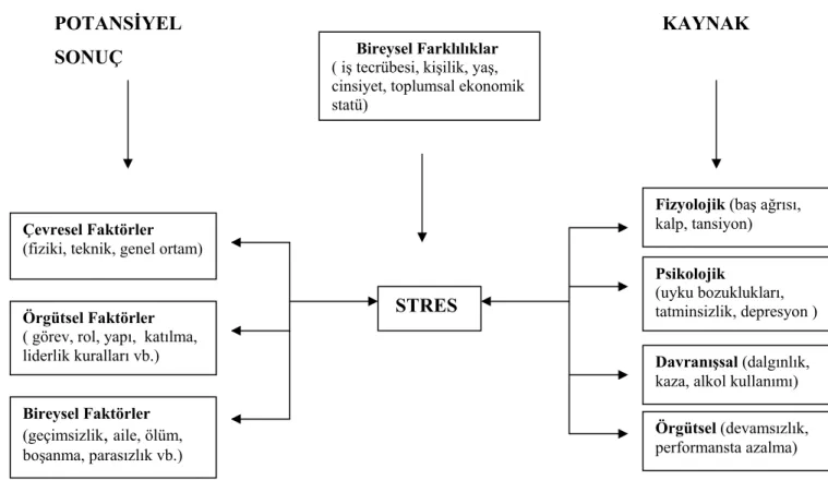 Şekil  5  İş stresinin neden ve sonuçları (Aytaç, 2002) 
