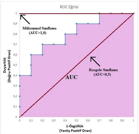 Şekil 4. ROC eğrisi ve eğri altında kalan alan (AUC) 