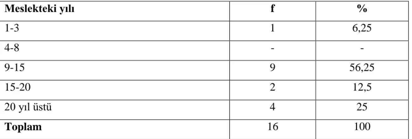 Tablo 6. Öğretim elemanlarının meslekteki yıllara  göre dağılımları  Meslekteki yılı  f  %  1-3  1  6,25  4-8  -  -  9-15  9  56,25  15-20  2  12,5  20 yıl üstü  4  25  Toplam  16  100 