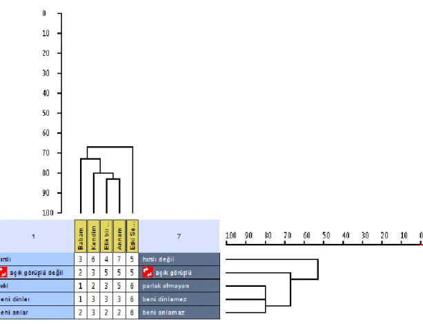 ġekil  1.1‟de  dendrogram  adı  verilen  grafik  verilmiĢtir.  Dendrogram,  küme  analizinin  grafiksel  olarak  sunulmuĢ  Ģeklidir