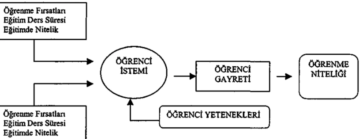 Şekil 2: Öğrenci Değişkeni ve Etmenler (Hallinan,1987; Akt.Çağlar ve  Ersoy, 1997) 