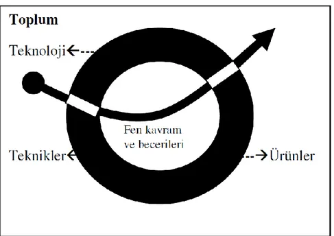 ġekil 2.2. FTT materyali organizasyon Ģeması  (Eijkelholf ve Kortland, 1987). 