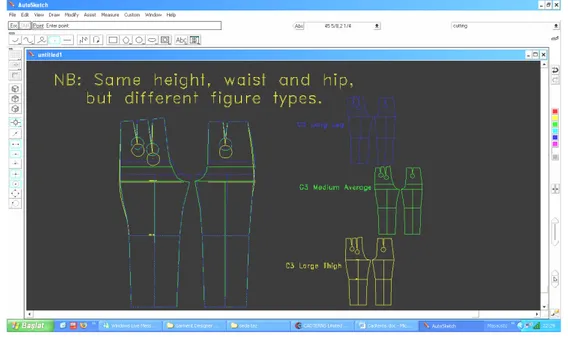 Şekil 4.3.: Farklı  Anatomik  Yapılarda  Bayanlara  Farklı  Tipte  Kalıplar  (Cadterns Demo Gösterimi)