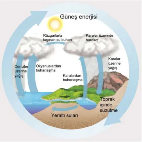 Şekil 2.5. Su Döngüsü 