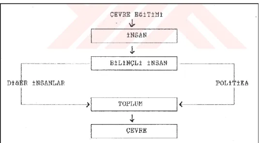 ġekil 2.1. Çevre Eğitiminin Çevre Bilincine Etkisi (Nazlıoğlu,1988) 