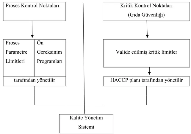 Şekil 1: Kontrol Noktalarının Ayrılması 