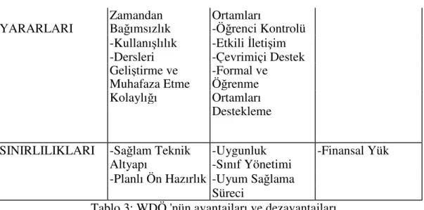 Tablo 3: WDÖ 'nün avantajları ve dezavantajları 