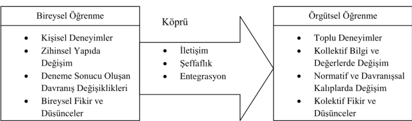 Şekil  3.  Bireysel  ve  örgütsel  öğrenme  arasındaki  köprü.  Probst  &amp;  Büchel'den  (1997) 