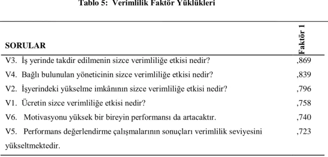 Tablo 5:  Verimlilik Faktör Yüklükleri 