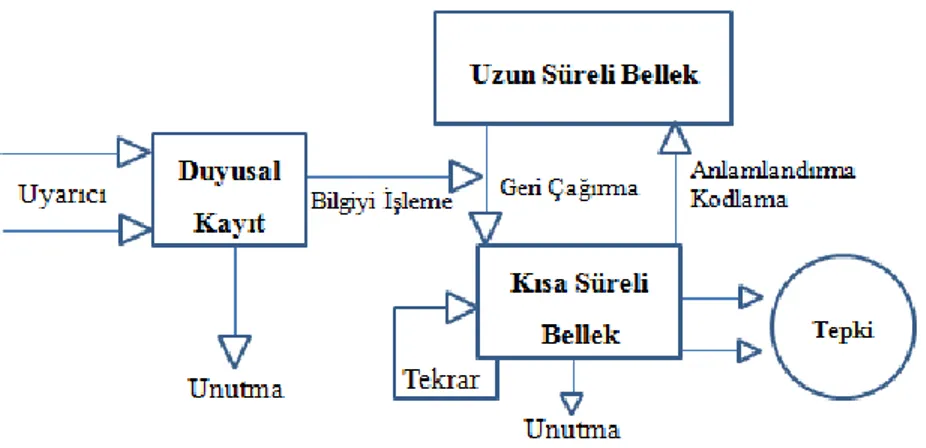 Şekil 1. Bilgiyi işleme modeli (Huitt, 2003) 