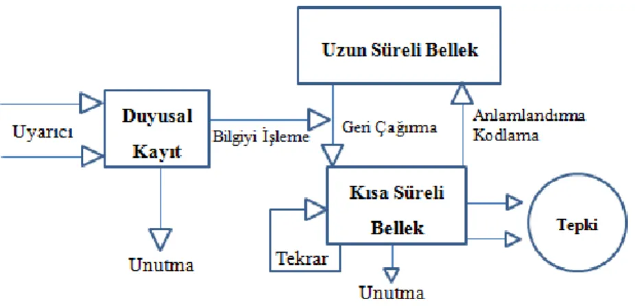 Şekil 1. Bilgiyi işleme modeli (Huitt, 2003) 