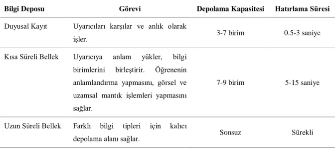 Tablo 2. Bilgi Depolarına Ait Bilişsel Kaynaklar 