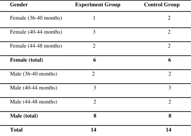 Table 3: Gender and Ages of Children in the Study 