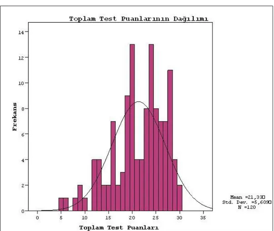 Şekil 9: Öğrencilerin Test Puanlarının Dağılımı