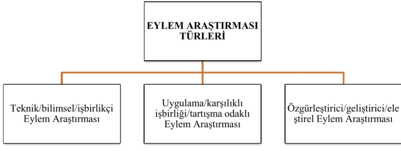 Şekil 6. Eylem araştırması türleri 