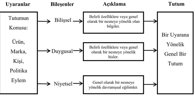 Şekil 2.2. Tutumun Bileşenleri  Kaynak: Rice, 1997: 109. 