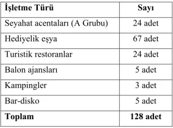 Tablo 5: Ürgüp’de Turizme Dayalı Olarak Faaliyet Gösteren İşletmeler 