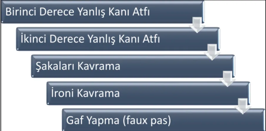 Şekil 1. Zihin Kuramı gelişimi 