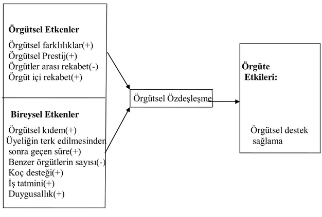 Şekil 2.4 Örgütsel Özdeşleşme Modeli 