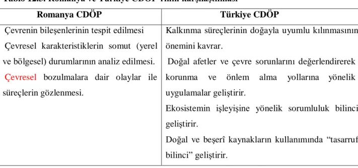 Tablo 12.3. Romanya ve Türkiye CDÖP’rının karĢılaĢtılması 