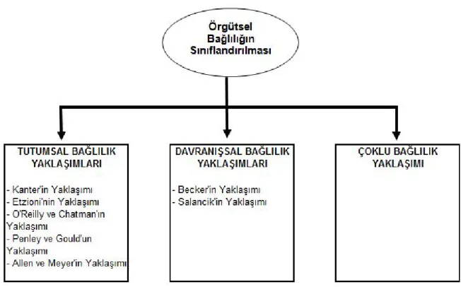 Şekil 2. Örgütsel Bağlılığın Sınıflandırılması 