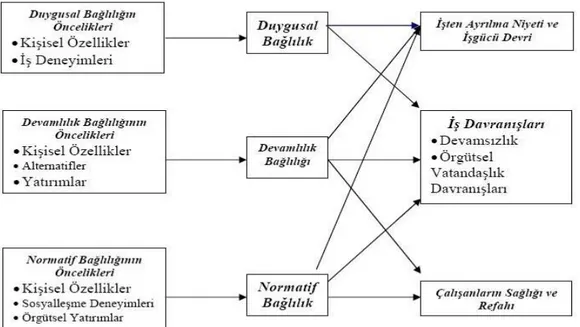 Şekil 5: Üç Boyutlu Örgütsel Bağlılık Modeli 