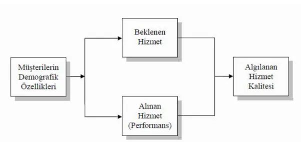 Şekil 5: Araştırmanın Modeli 