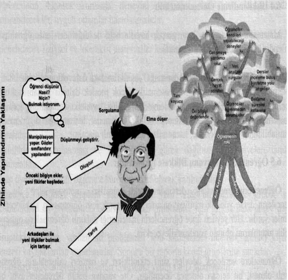 Şekil 2.1. Yapılandırıcılık Ağacı (Yapılandırıcılık Ağacı, 2002) 