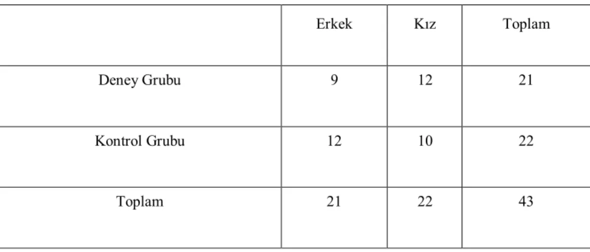 Tablo 3.1. Deneklerin Gruplara ve Cinsiyete göre Dağılımı 