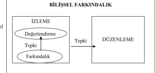 Şekil 2: Bilişsel Farkındalık  Modeli (Wilson, 1998) 