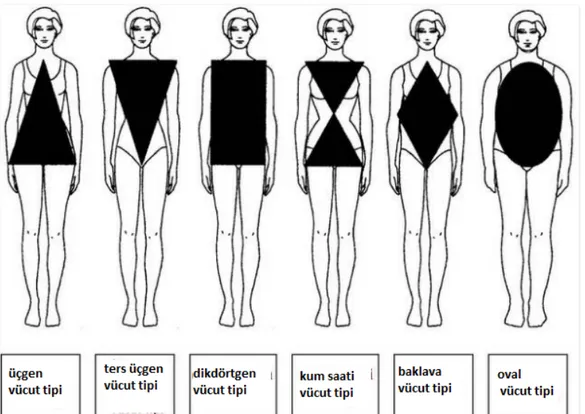 Şekil 52: Vücut şekilleri 