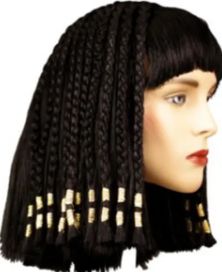 Şekil 9: Eski Mısır Saç Örneği (img2.blogcu.com) 