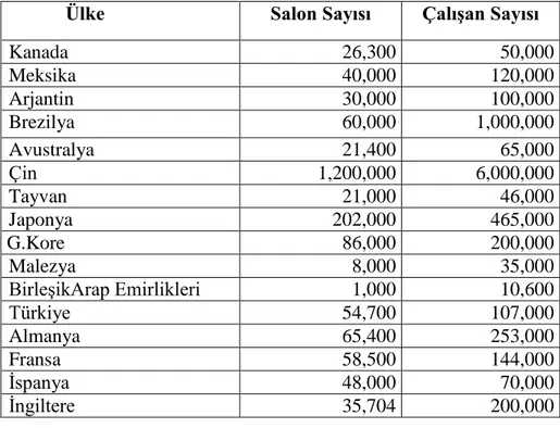 TABLO 8. Ülkelere göre Salon ve Salon ÇalıĢanları Listesi 