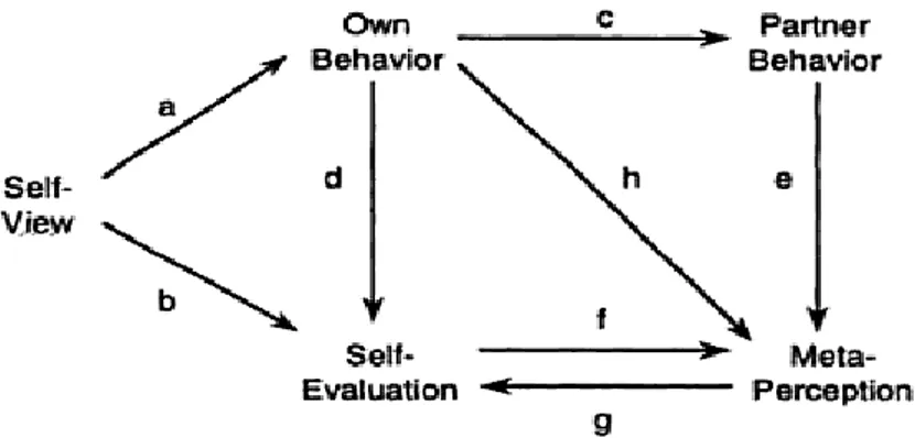 Figure 3. Model of the formation of meta-perception. Retrieved from Interpersonal  perception:  A  social  relations  analysis  (169)  by  A.Kenny,  1994,  New  York  NY:  Guilford Press