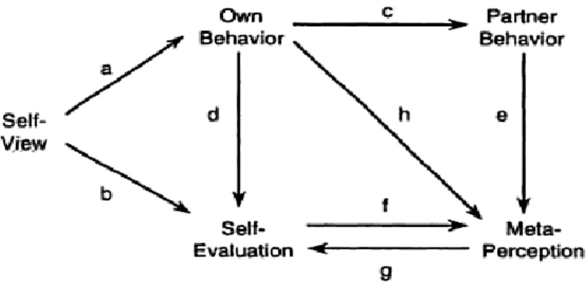 Figure 3. Model of the formation of meta-perception. Retrieved from Interpersonal  perception:  A  social  relations  analysis  (169)  by  A.Kenny,  1994,  New  York  NY:  Guilford Press