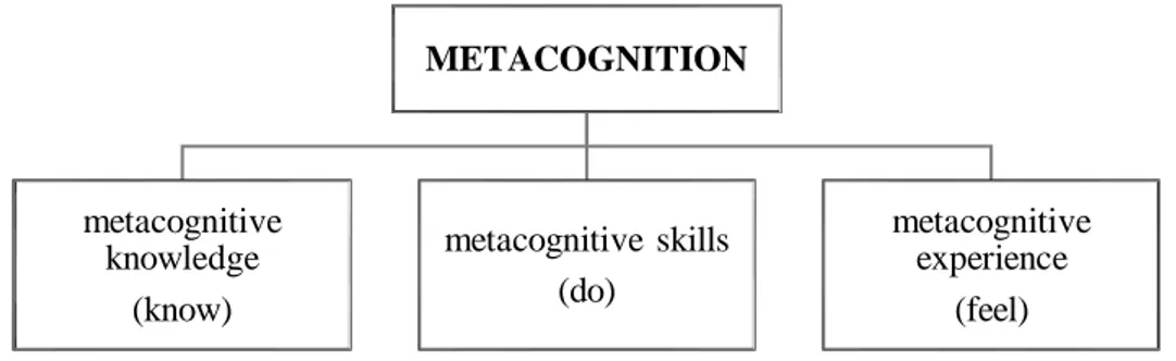 Figure  2.8.  Hacker’s  model  of  metacognition  (Adapted  from  Hacker,  D.  J.  (1998)