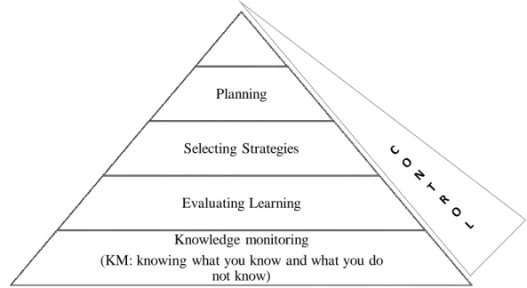 Figure  2.9.  Tobias  and  Everson’s  hierarchical  model  of  metacognition  (Adapted  from  Tobias, S., &amp; Everson, H