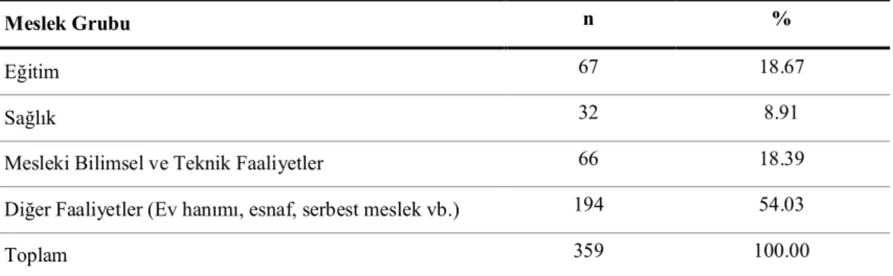 Tablo 13. Babaların Meslek Gruplarına Göre Dağılımı 