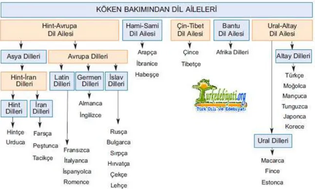 Şekil  10,  köken  bakımından  dil  ailelerini  şema  şeklinde  göstermekle  birlikte,  şemada  Almanca ve Türkçe’nin yer aldığı Dil Ailesi ve mensubu oldukları kol görülmektedir