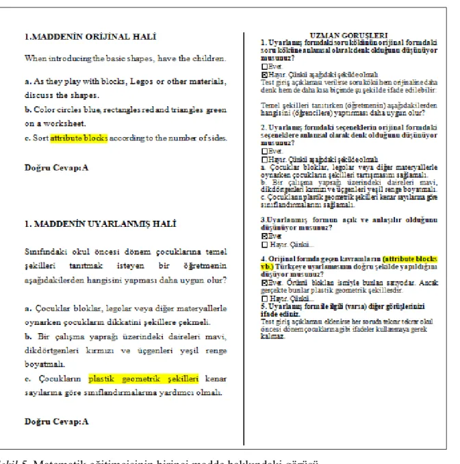 Şekil 5. Matematik eğitimcisinin birinci madde hakkındaki görüşü  