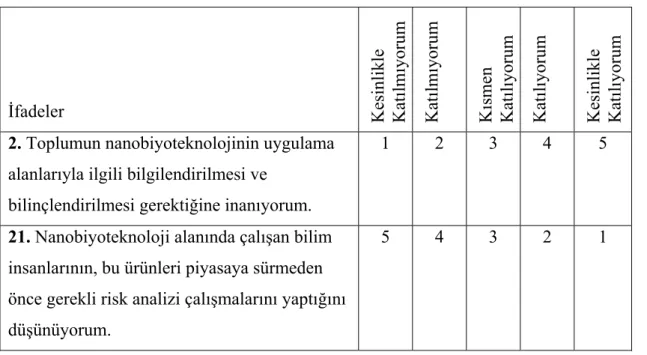 Tablo 2.7. Nanobiyoteknoloji ilgi anketi puanlama örneği 