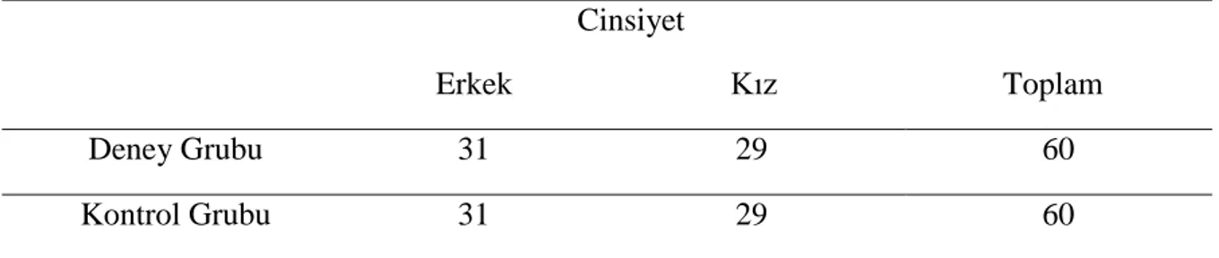 Tablo 3. Deney ve Kontrol Grubundaki Öğrenci Cinsiyetleri        Cinsiyet 