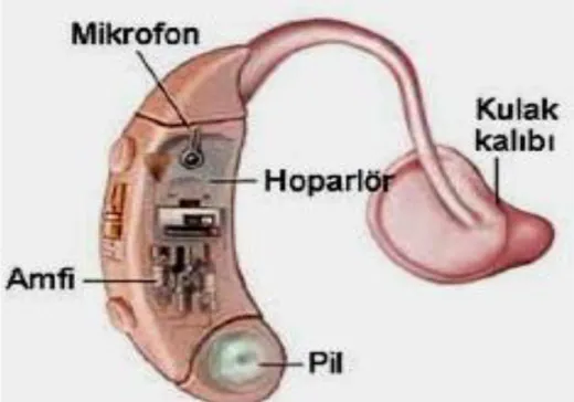 Şekil  7.  İşitme  cihazı.  http://www.ent.com.tr/m/r/image/isitme-2-L10J.jpg   sayfasından  erişilmiştir