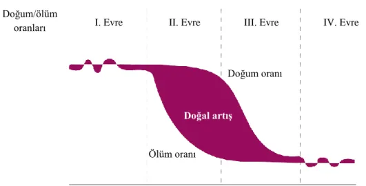 Şekil 3. Demografik geçiĢ sürecinin evreleri 