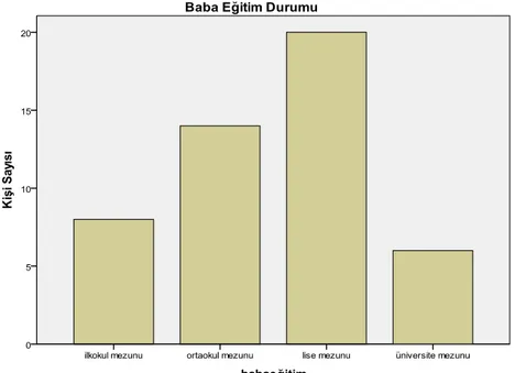 Grafik 5. Öğrencilerin Baba Eğitim Durumu Bilgilerine Göre Dağılımı  Tablo 3.2.6 