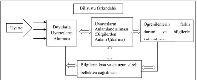 Şekil 3. Bilişüstü farkındalığın öğrenme süreci içindeki Yeri (Costa ve Lowery ve Paul’dan  aktaran Doğanay, 1997, s