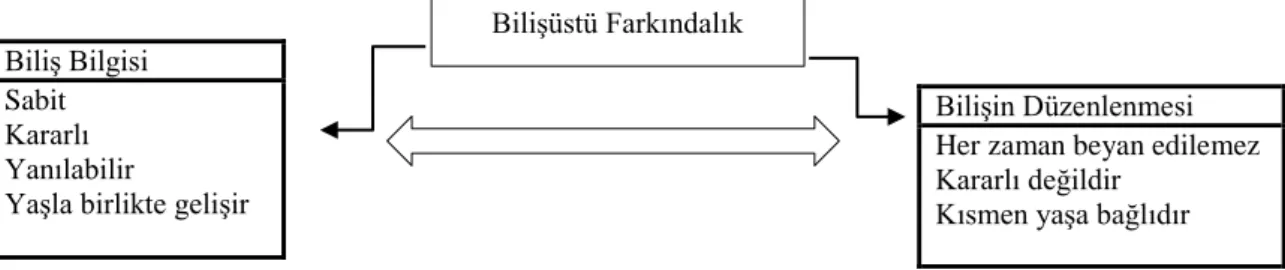 Şekil 5. Brown’un bilişüstü farkındalık modeli (Akın, 2006, s. 106). 