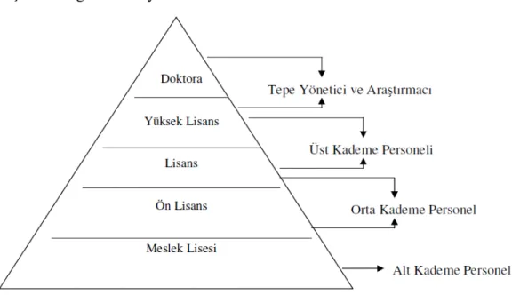 Şekil 1: Eğitim Düzeyi ve Yönetsel Kademe Piramidi  