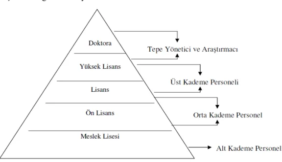 Şekil 1: Eğitim Düzeyi ve Yönetsel Kademe Piramidi  