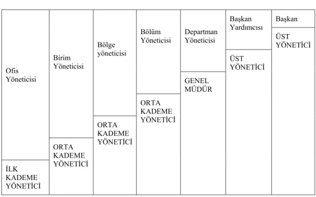Şekil 2: Kariyer Patikası  
